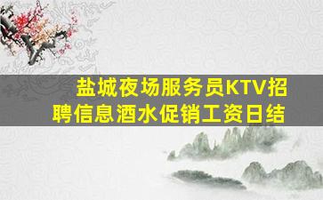 盐城夜场服务员KTV招聘信息酒水促销工资日结